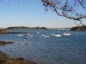 2015-09-29 11-09-00 Circuit Moulin Pen Castel - Port Navalo DLe